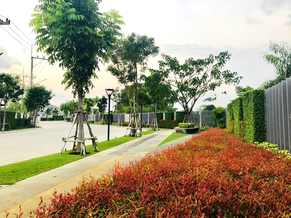 รูปภาพ ไลฟ์ อิน เดอะ ดาร์เดน บ้านฉาง | อพาร์ทเม้นท์ หอพัก ที่พัก ห้องพัก - รูปที่ 11/11
