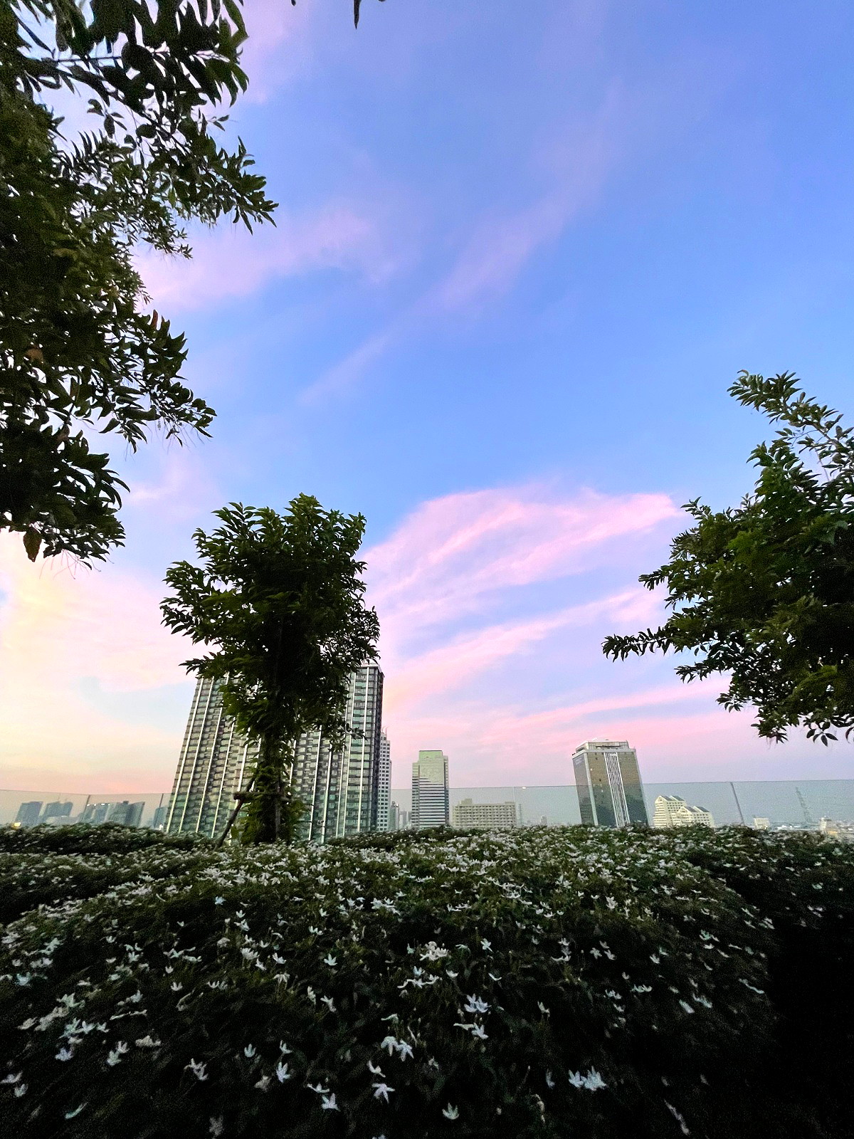 รูปภาพ XT ห้วยขวาง | อพาร์ทเม้นท์ หอพัก ที่พัก ห้องพัก - รูปที่ 26/30