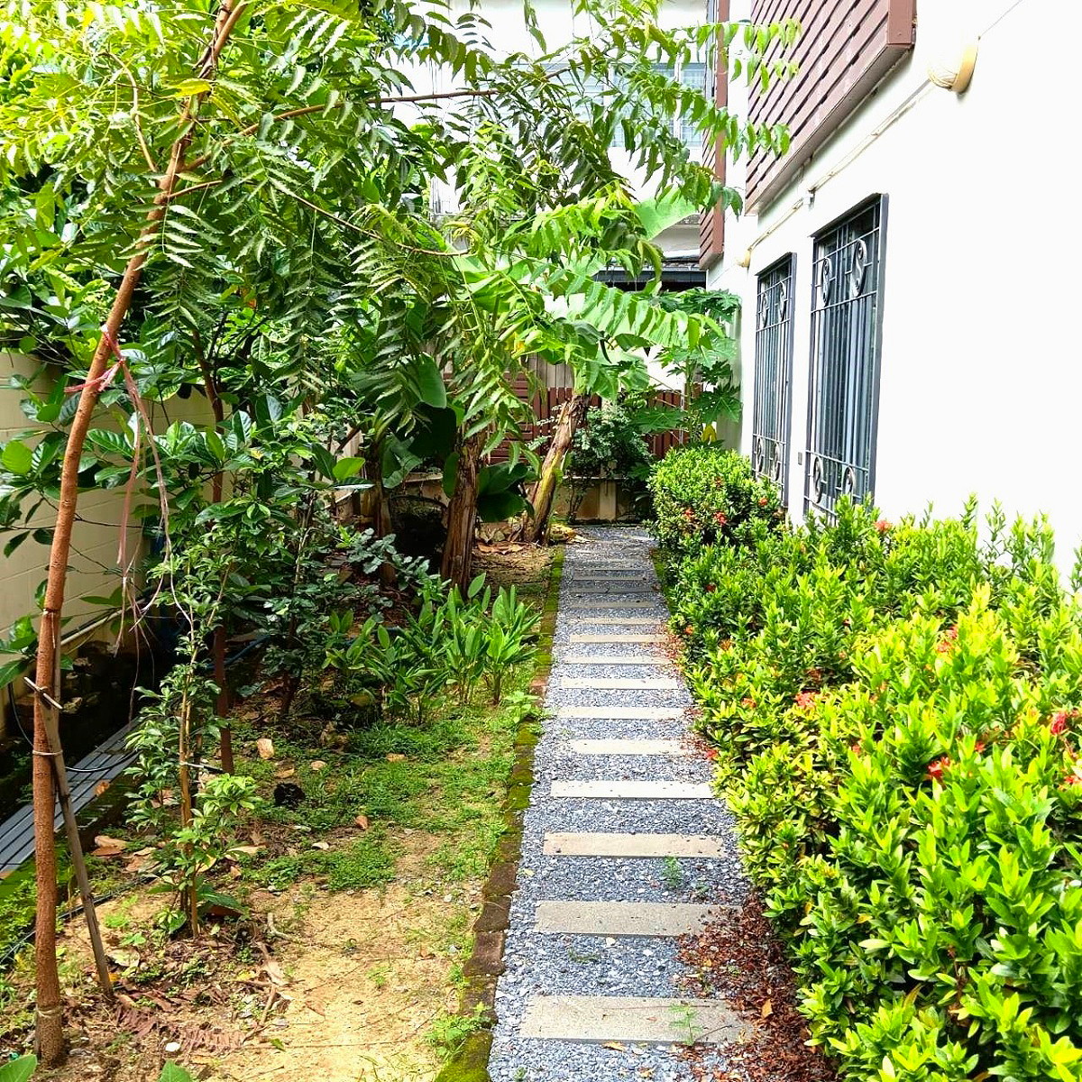 รูปภาพ บ้านพระจันทร์  ห้องพักสำหรับสุภาพสตรี | อพาร์ทเม้นท์ หอพัก ที่พัก ห้องพัก - รูปที่ 11/11