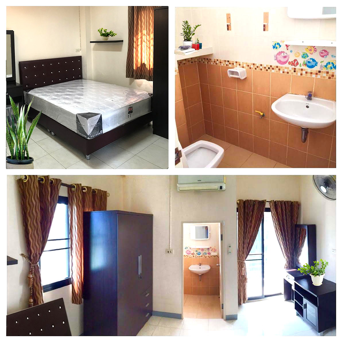 Pictures of miri house 1/4