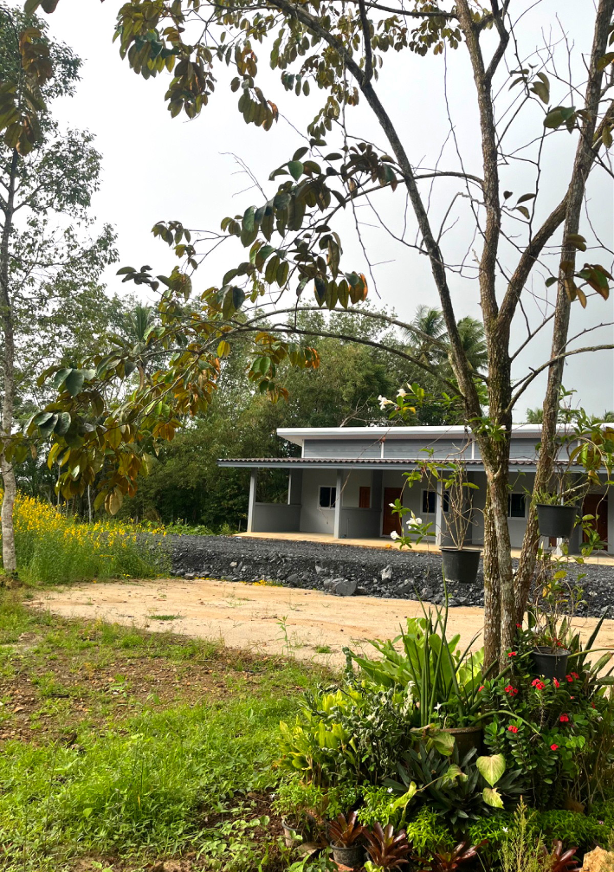 รูปภาพ บ้านเช่า | อพาร์ทเม้นท์ หอพัก ที่พัก ห้องพัก - รูปที่ 1/11