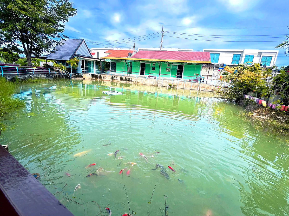 Pictures of RimThan  11/12