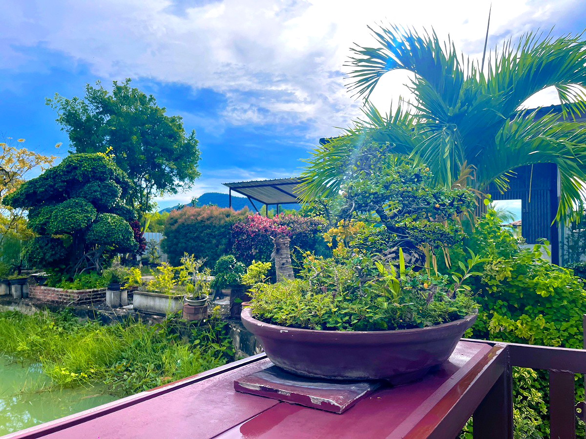 Pictures of RimThan  12/12