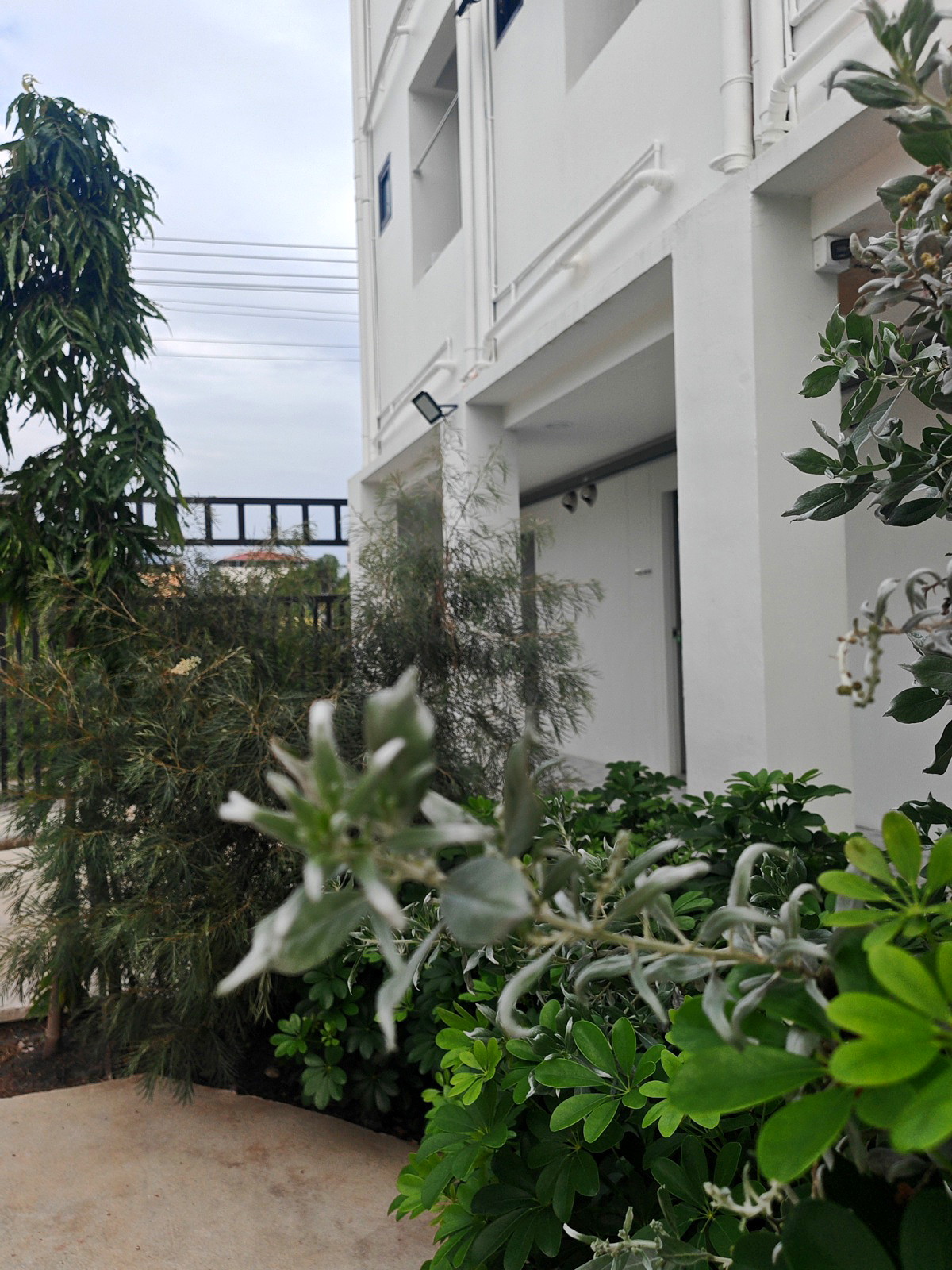 Pictures of IS AM ARE พยอม2 9/12