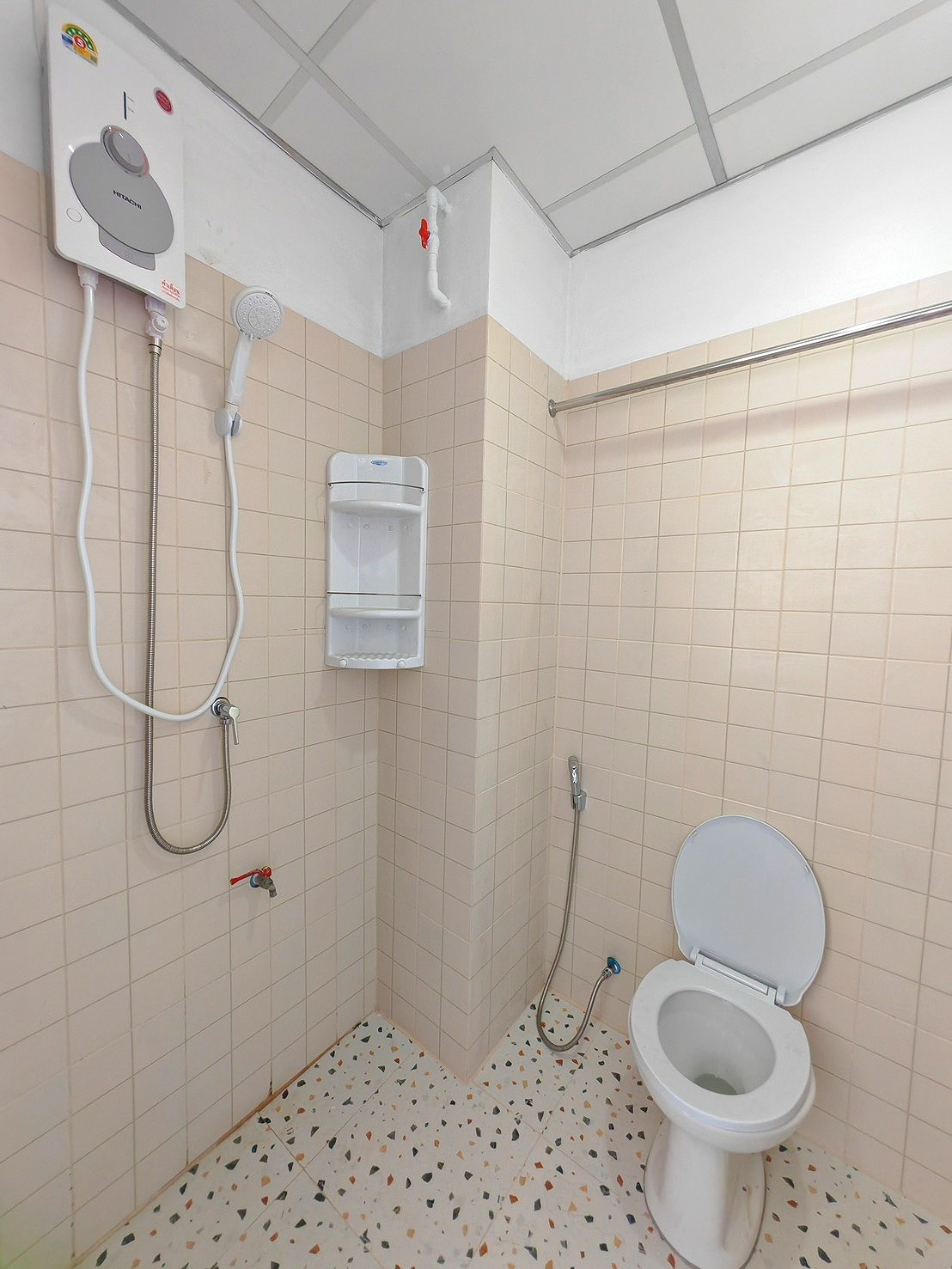 Pictures of RABBIT APARTMENT 10/12