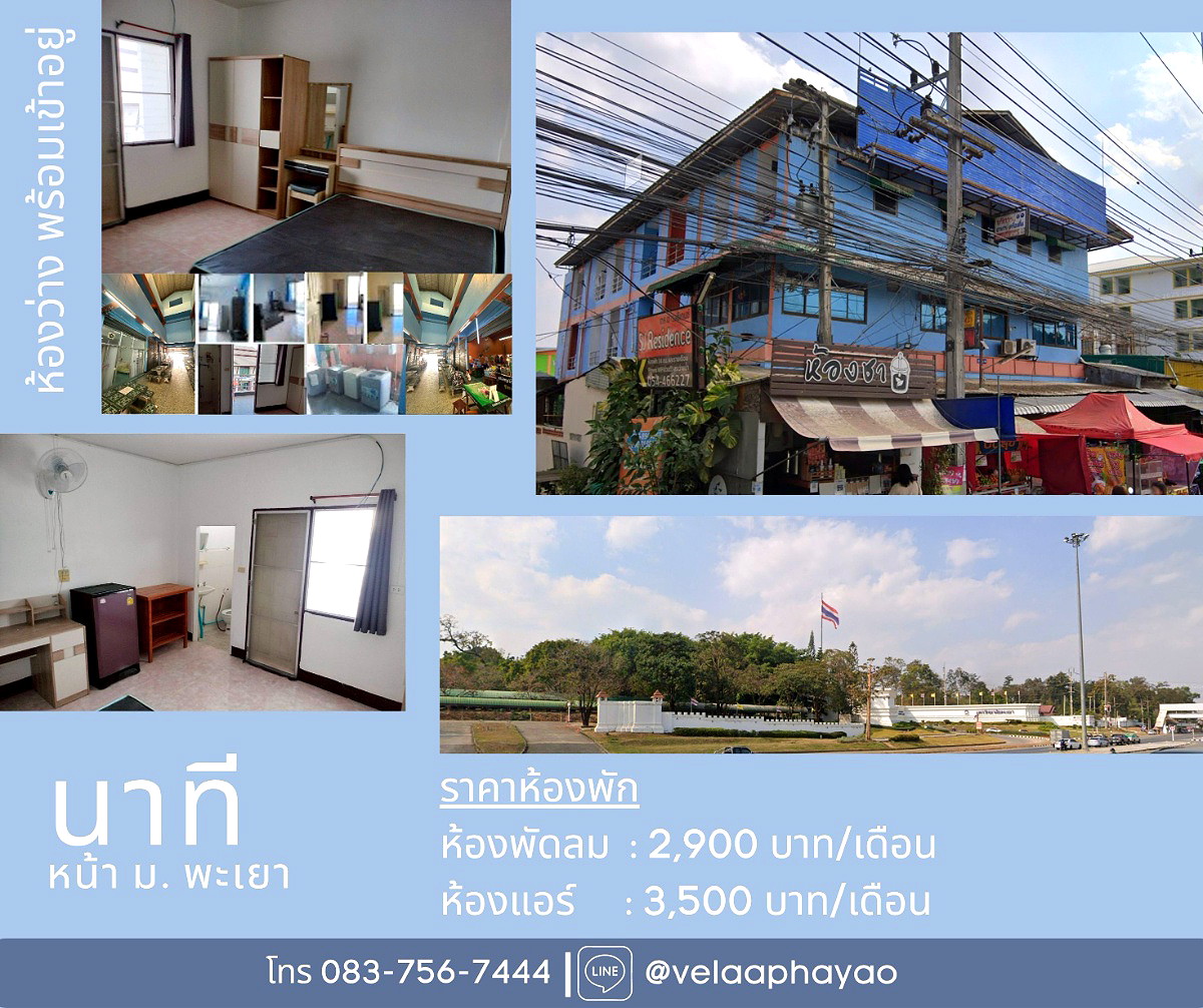 Pictures of natee phayao 1/1