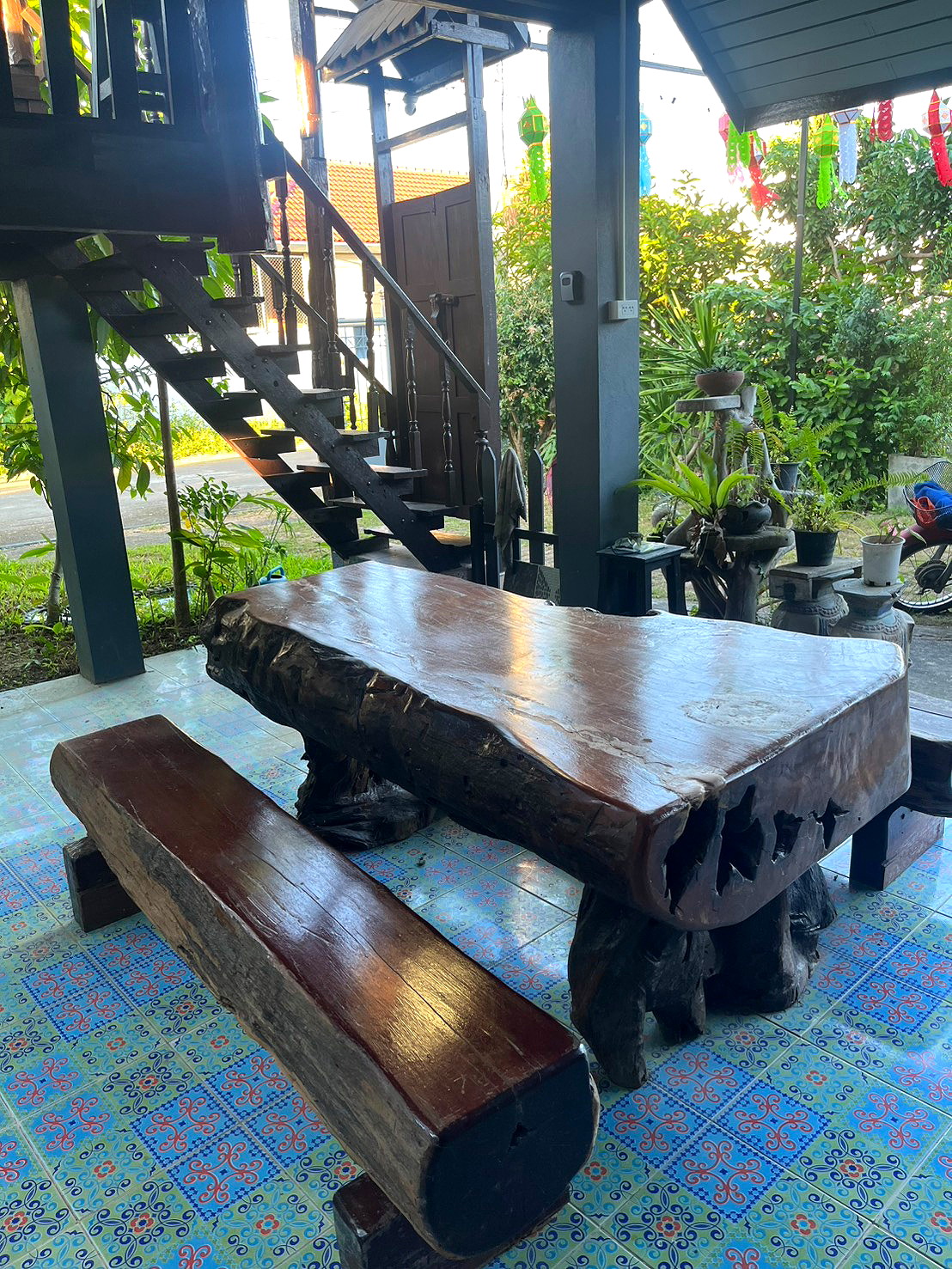 Pictures of thai organic 11/14