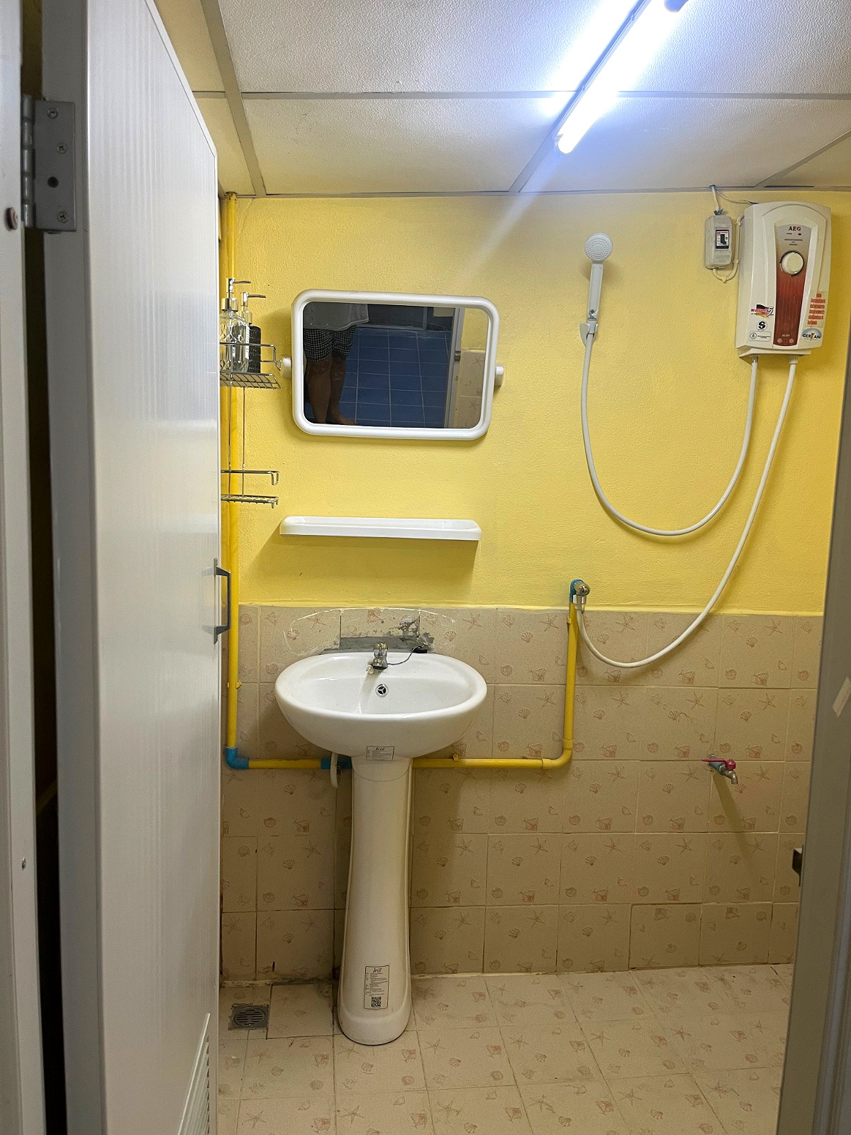 Pictures of thai organic 4/14