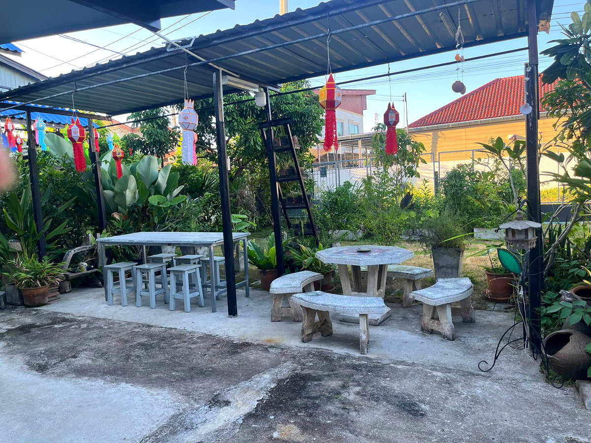 Pictures of thai organic 13/14