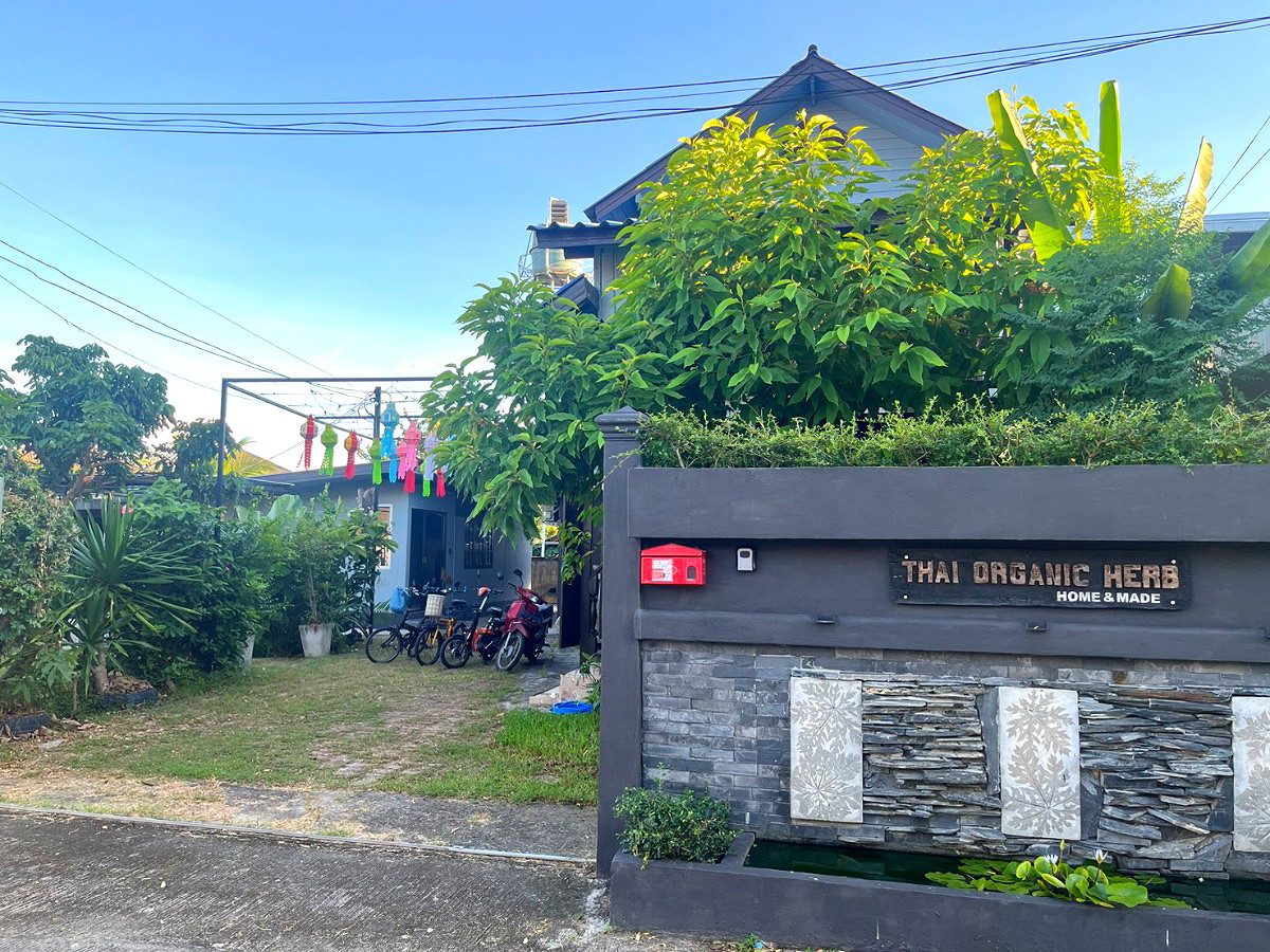 Pictures of thai organic 8/14