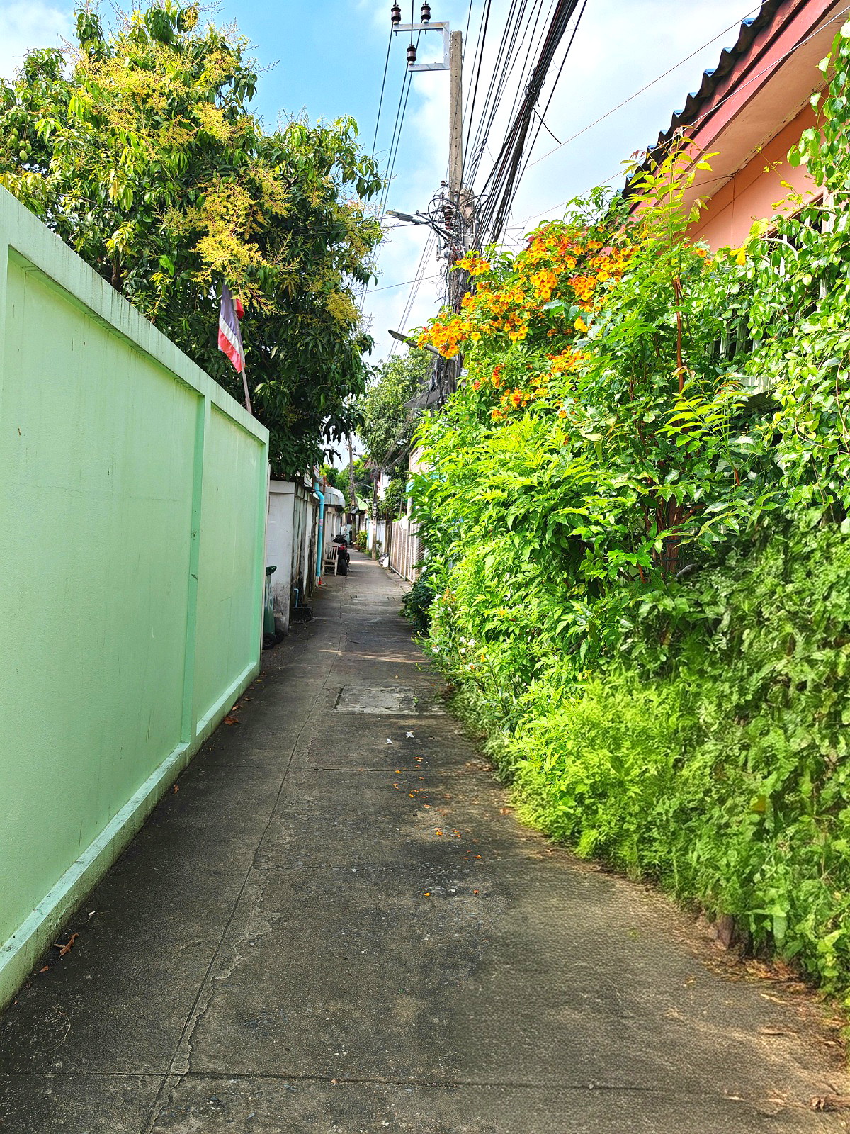 รูปภาพ บ้านนก | อพาร์ทเม้นท์ หอพัก ที่พัก ห้องพัก - รูปที่ 2/14