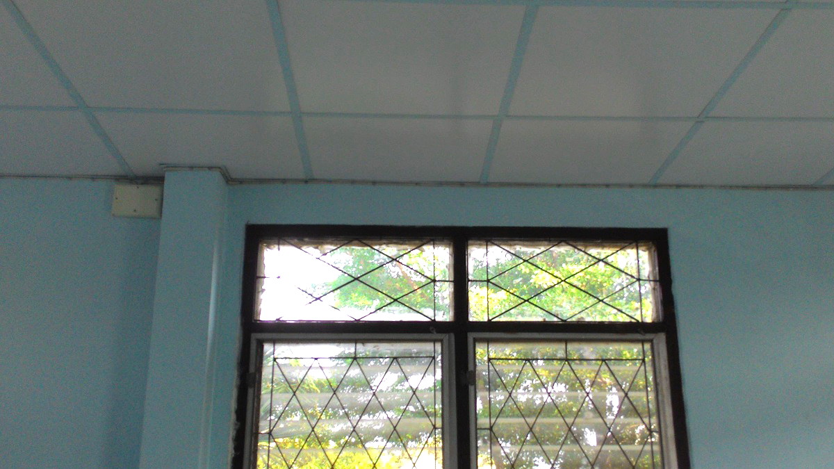 Pictures of fuaengfa 6/6