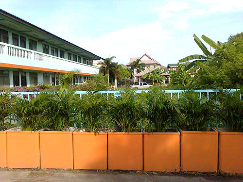 Pictures of fuaengfa 2/6