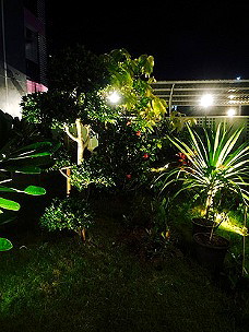 รูปภาพ ศิรินทร์ เรสซิเดนซ์ มหาชัย (ความสุขใกล้ๆโลตัส) | อพาร์ทเม้นท์ หอพัก ที่พัก ห้องพัก - รูปที่ 16/23