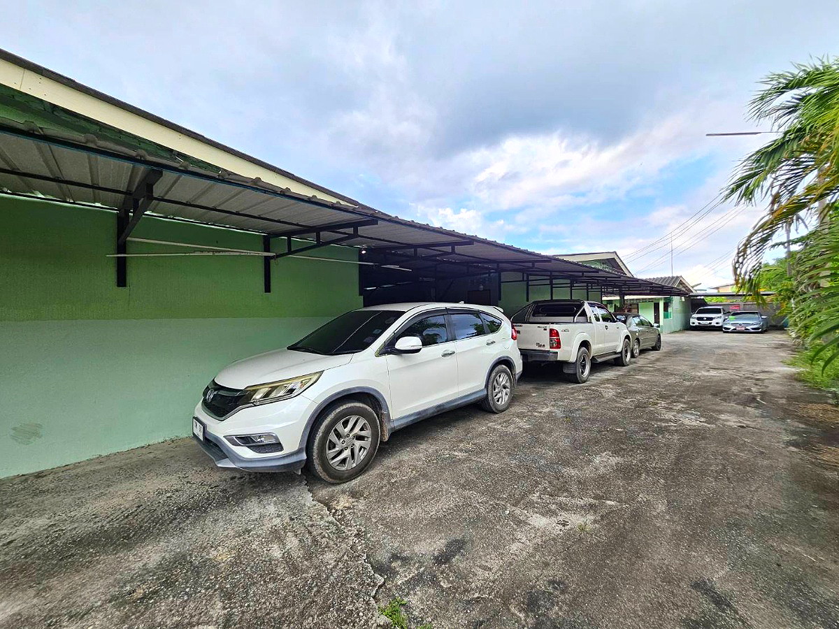 Pictures of ฺBandon torroror 11/24