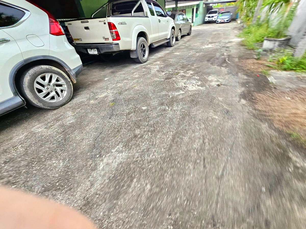 Pictures of ฺBandon torroror 12/24