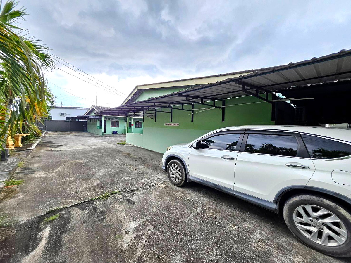 Pictures of ฺBandon torroror 13/24