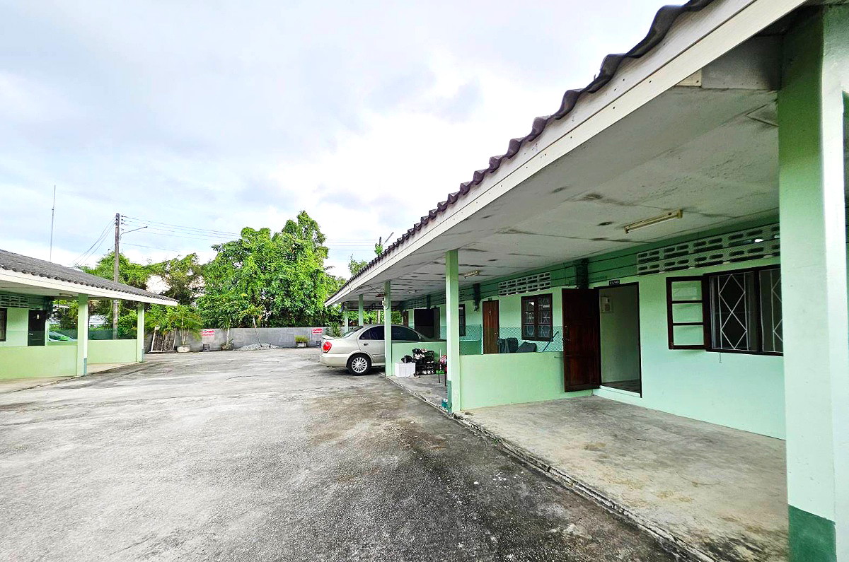 Pictures of ฺBandon torroror 18/24