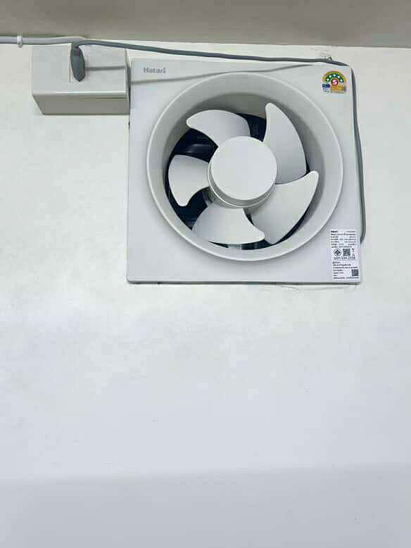 Pictures of victory 6/6