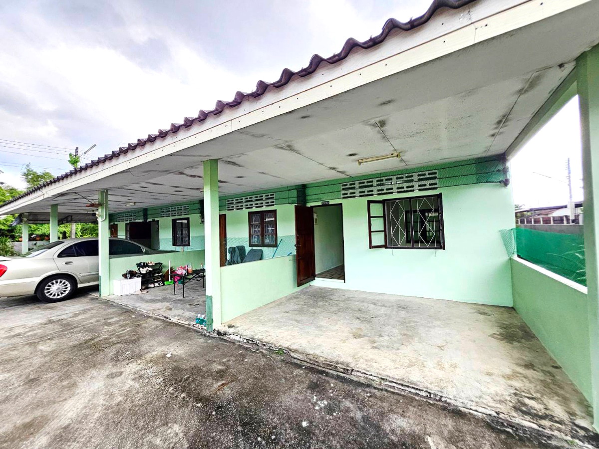 Pictures of ฺBandon torroror 17/24