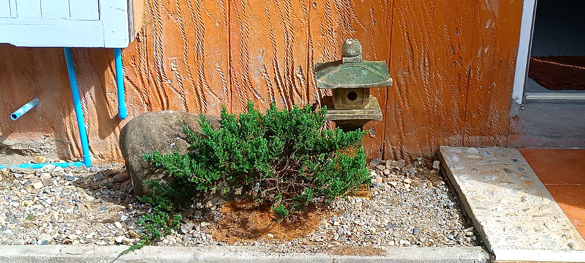 Pictures of Mechmansion Chiang Rai 180/183