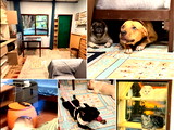 Thatsong House (Pet-Allowed) dormitory - Kanchanaphisek Road Short Term Rental