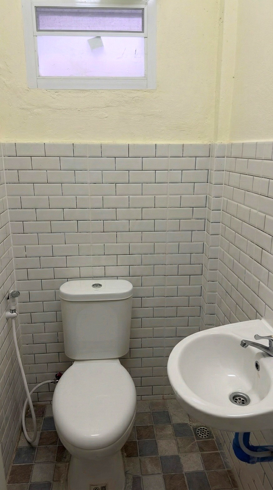 Pictures of Ban shao 216 2/3