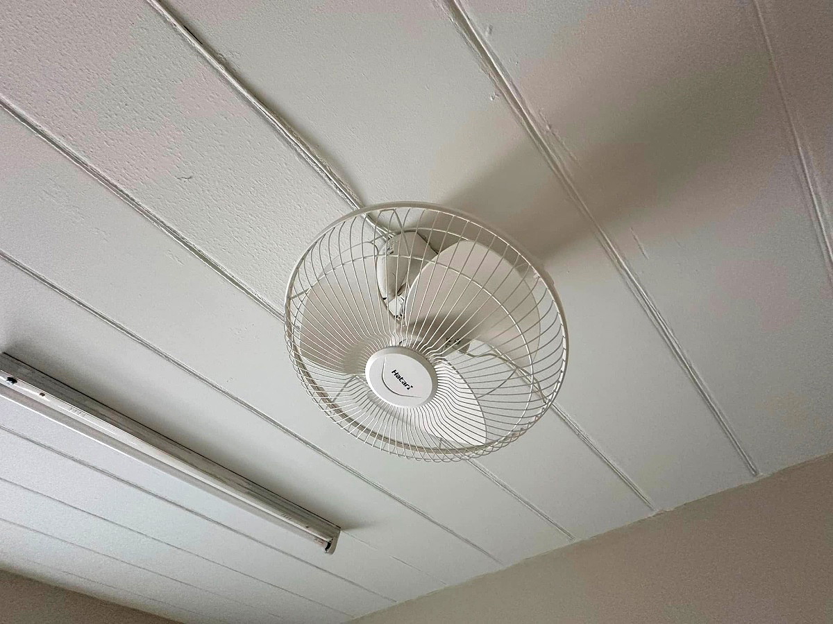 Pictures of Tespsunee Bang Pla 24 6/15