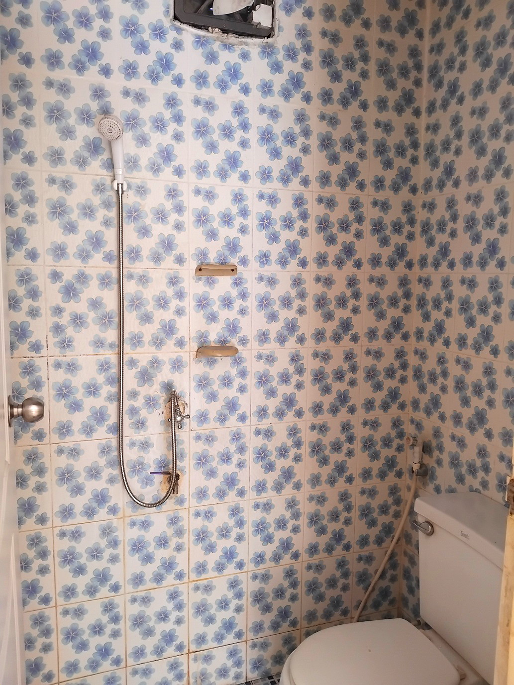 Pictures of Tantawanchokemongkol 11/11