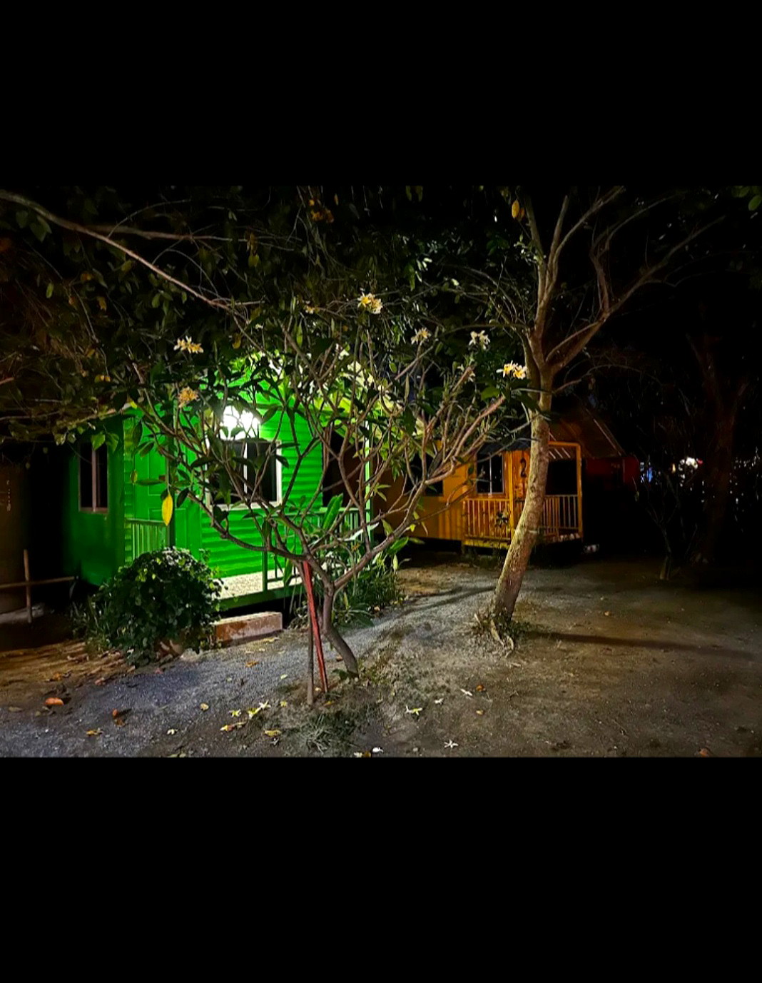 Pictures of Tantawanchokemongkol 4/11