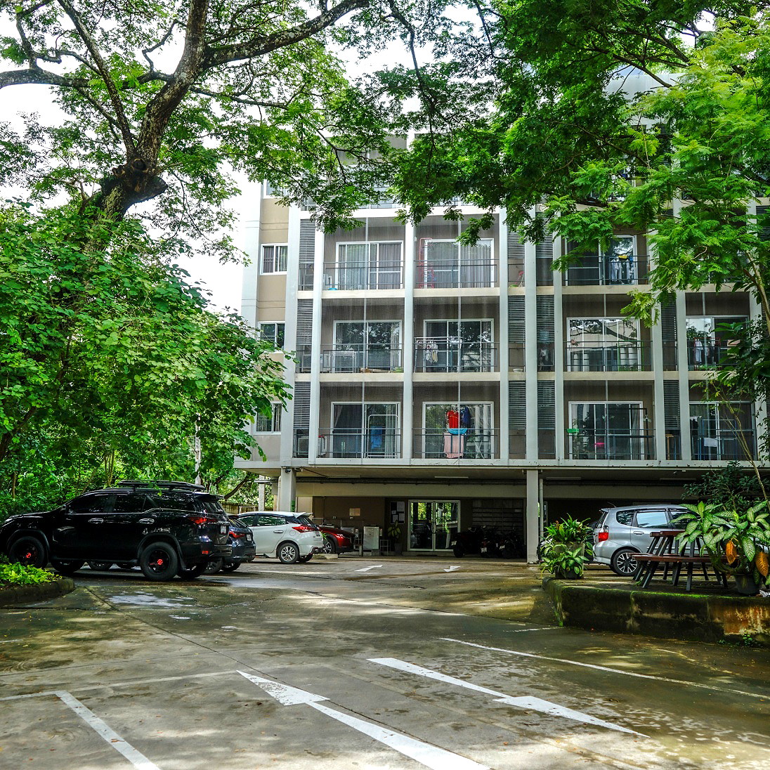 Pictures of Baan Ton ThongKwao 24/25