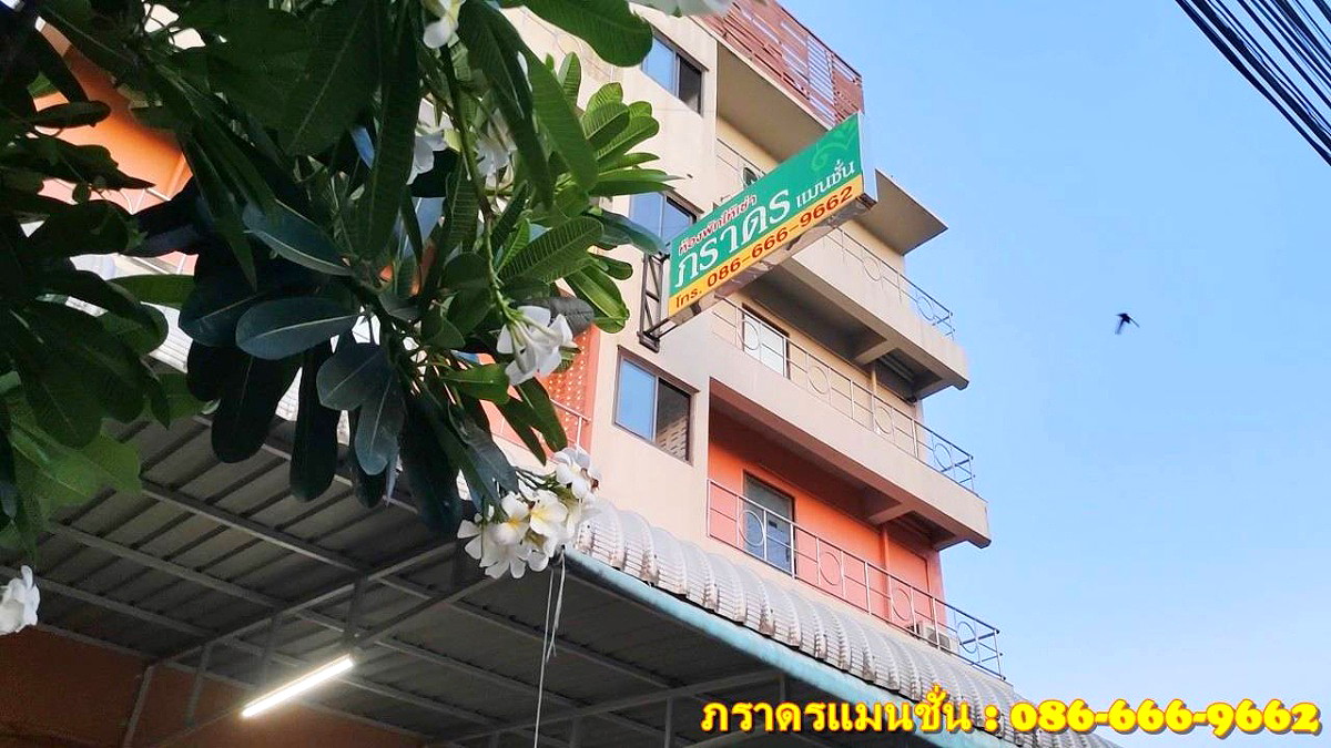 Pictures of PARADORN MANSION 3/18