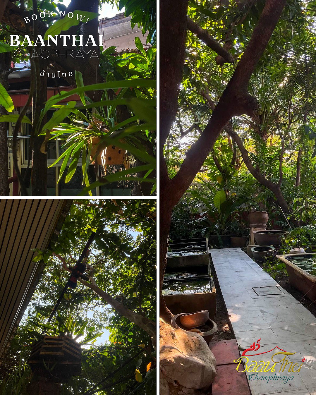 Pictures of BaanThai Chaophraya  13/16