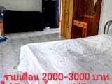 Apartments for Rent Muang Surin