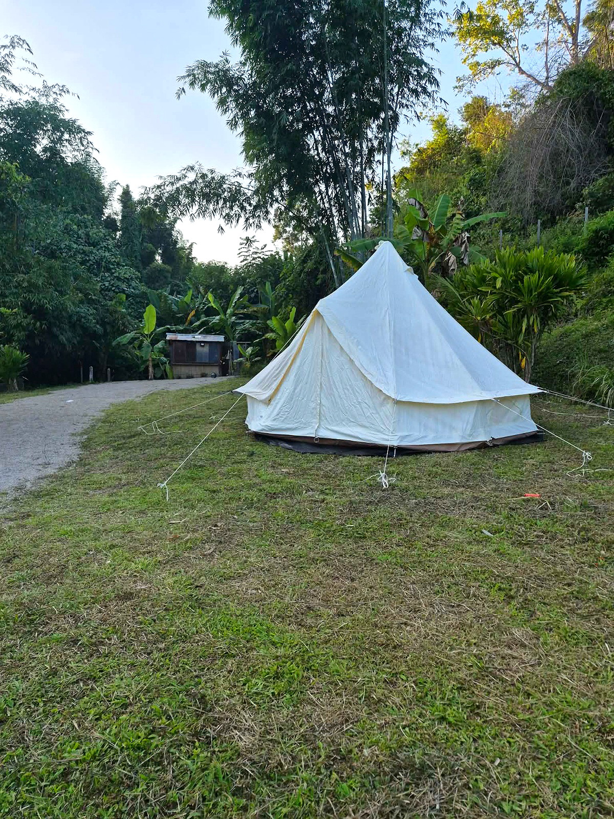 รูปภาพ แอลดี เรสซิเดนซ์ | อพาร์ทเม้นท์ หอพัก ที่พัก ห้องพัก - รูปที่ 24/24