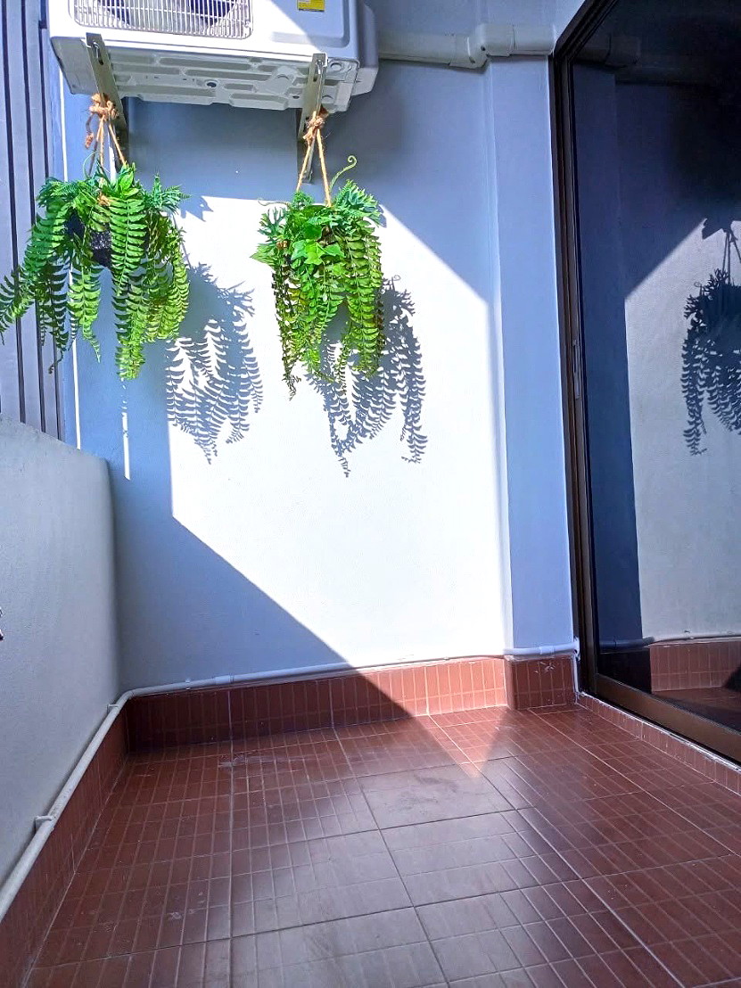 Pictures of INDIGOMANSION 5 7/8