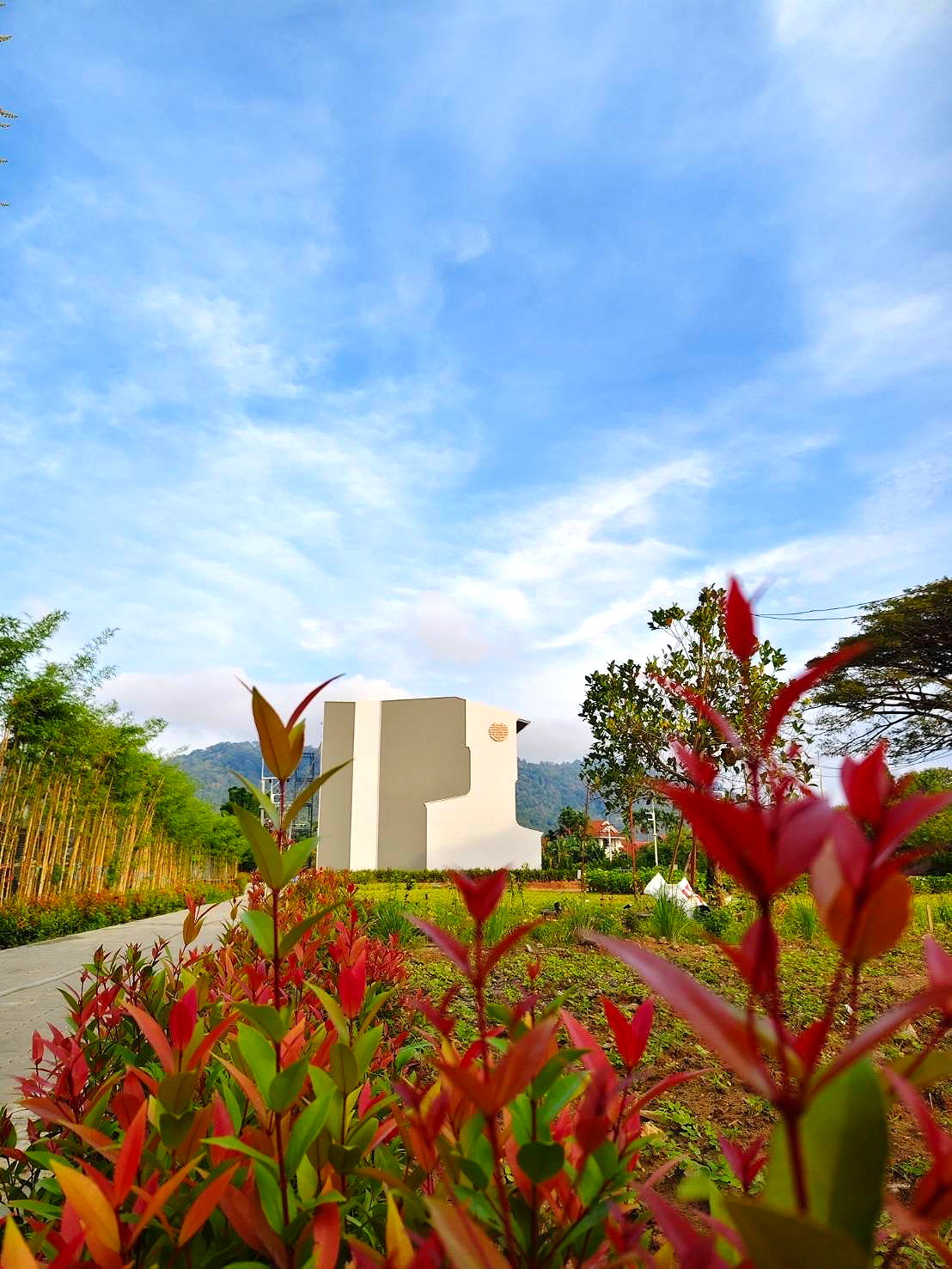 Pictures of NKS Court 11/13