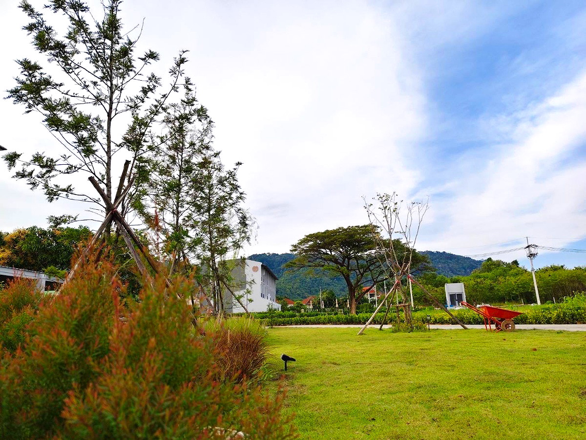 Pictures of NKS Court 12/13