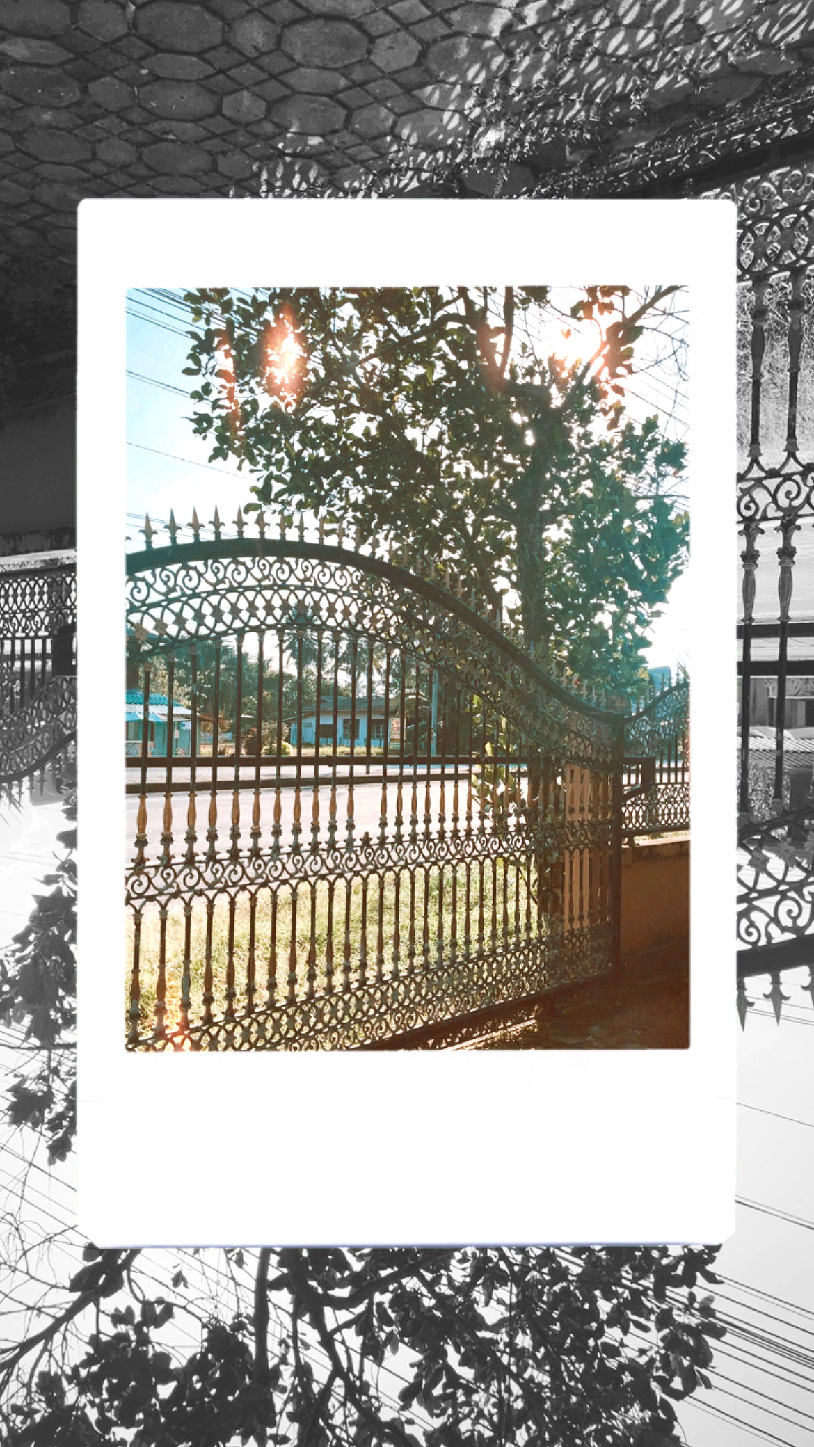 รูปภาพ บ้าน 21/1 บ้านแบบแชร์กันอยู่ ต. วัดจันทร์ อ.สทิงพระ จ.สงขลา | อพาร์ทเม้นท์ หอพัก ที่พัก ห้องพัก - รูปที่ 2/7