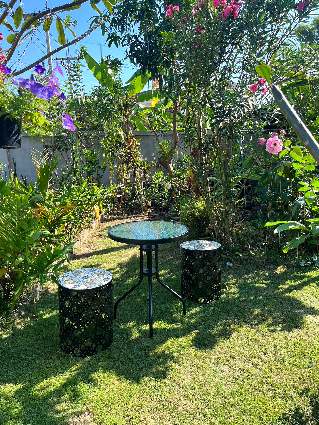 รูปภาพ ไทยออร์กานิก เฮิร์บ | อพาร์ทเม้นท์ หอพัก ที่พัก ห้องพัก - รูปที่ 12/12