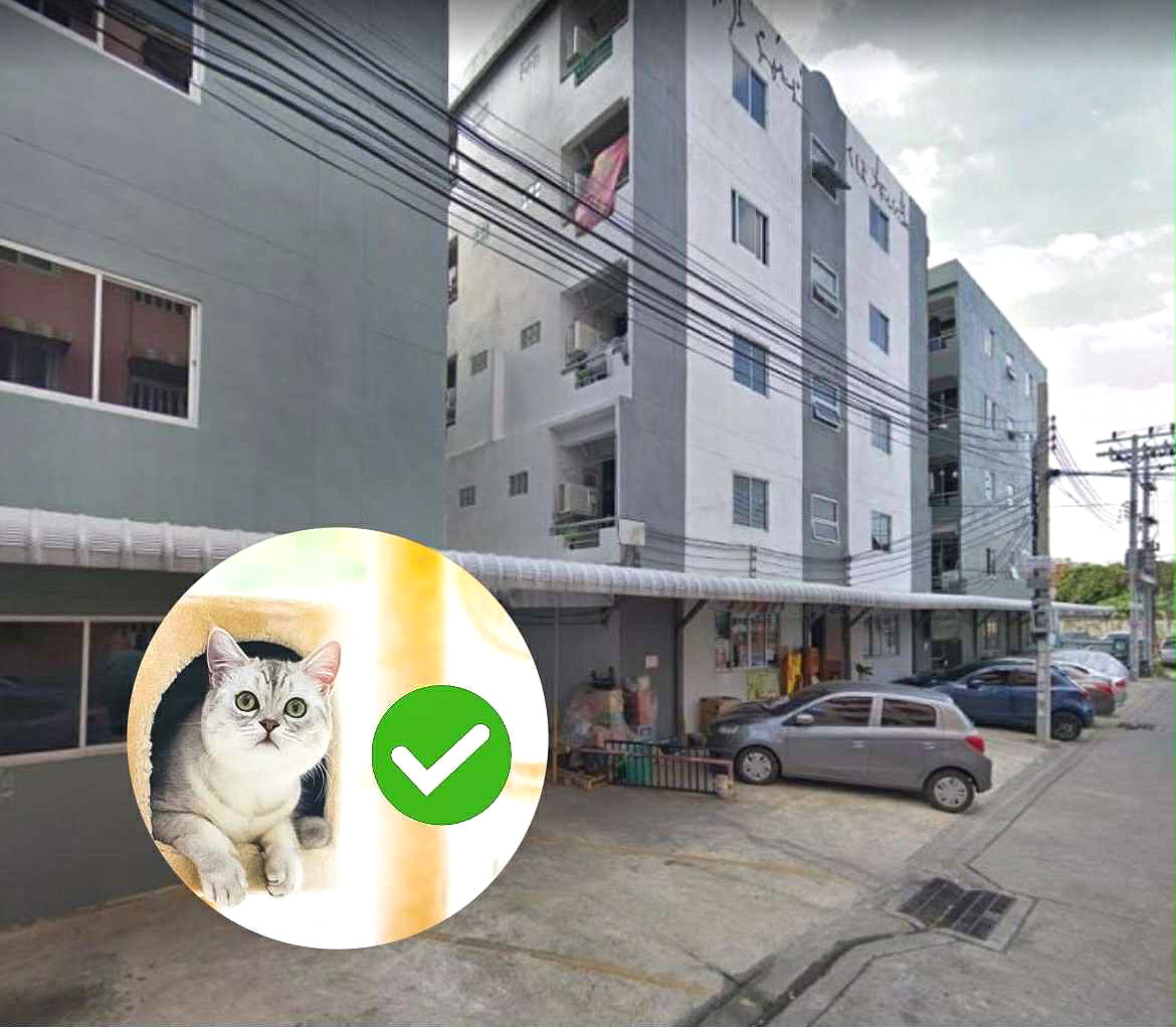 รูปภาพ ทีที แมนชั่น (อุดมสุข 51 ประวิทย์และเพื่อน ซ.3 ) | อพาร์ทเม้นท์ หอพัก ที่พัก ห้องพัก - รูปที่ 1/7