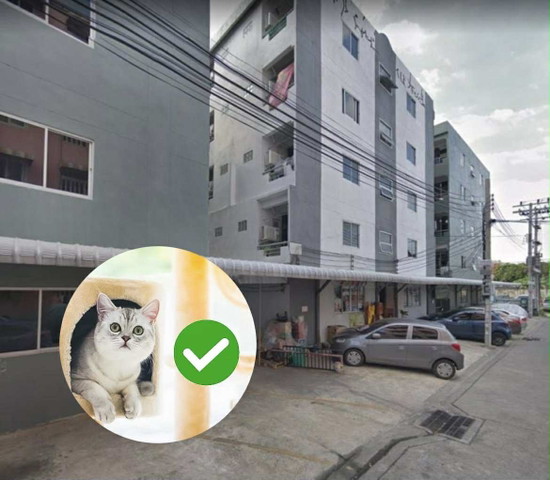 TT MANSION (UDOMSUK 51) - Apartment for Rent