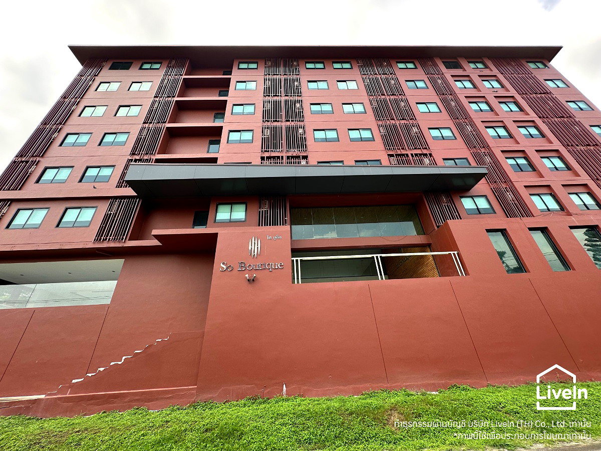 Pictures of So Boutique 12/13