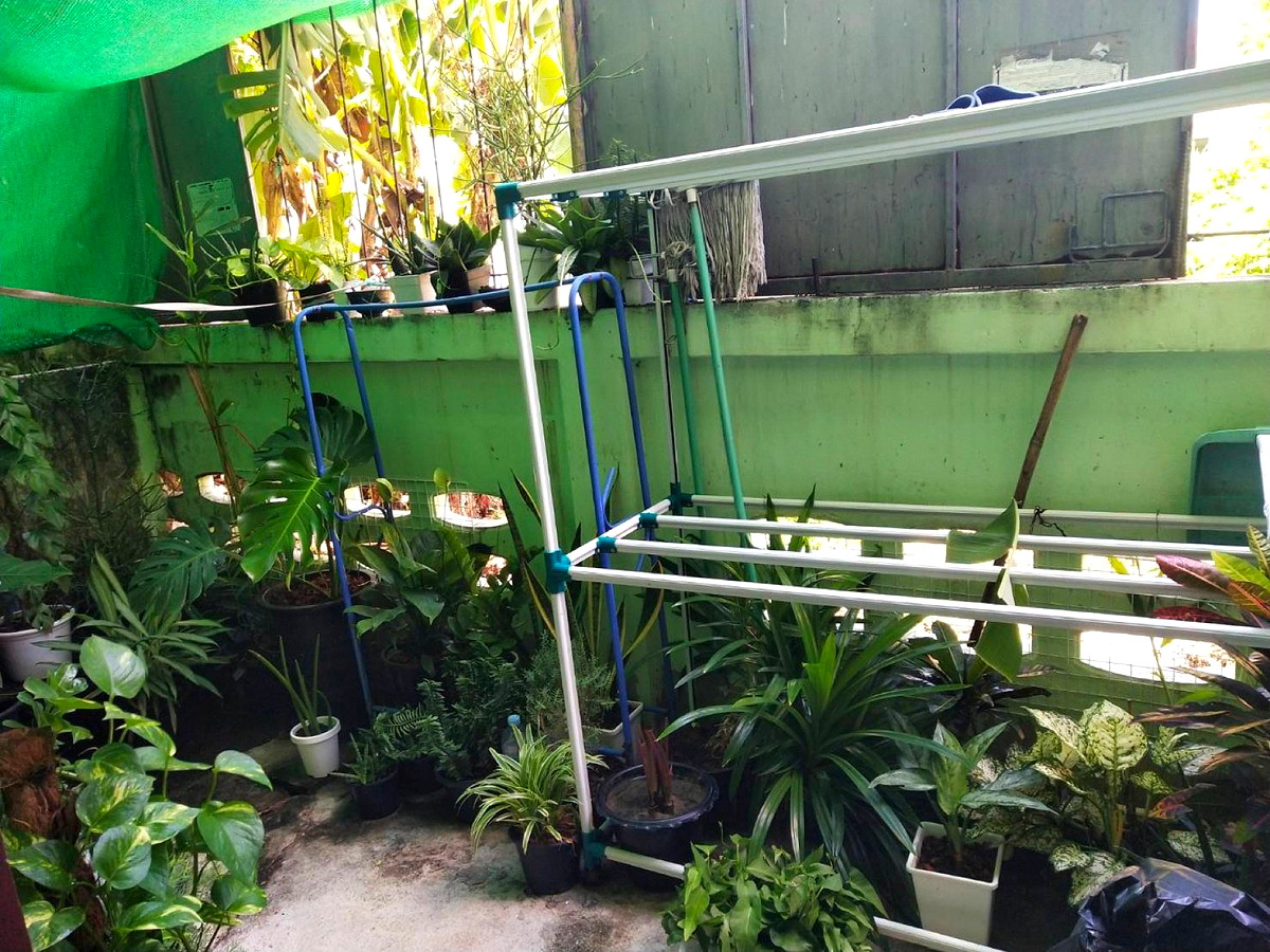 Pictures of Green house1 30/52