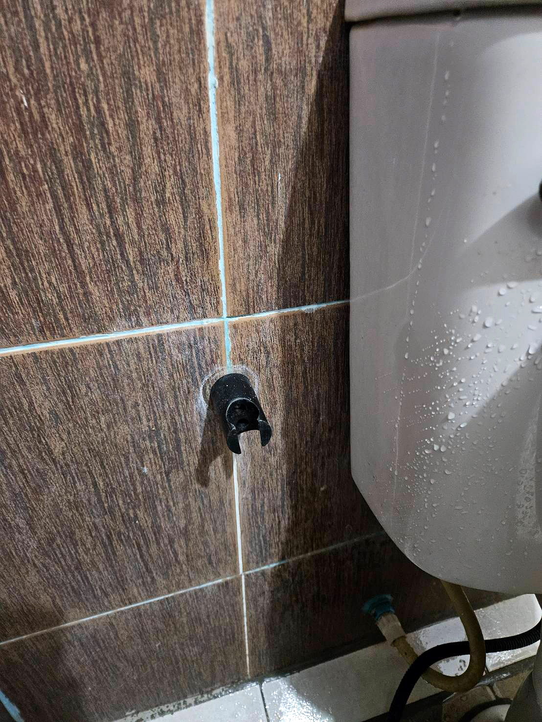 Pictures of Green house1 17/52