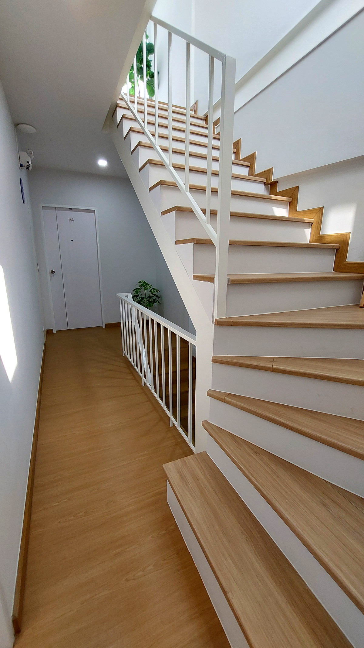 Pictures of The Luck house 8/18