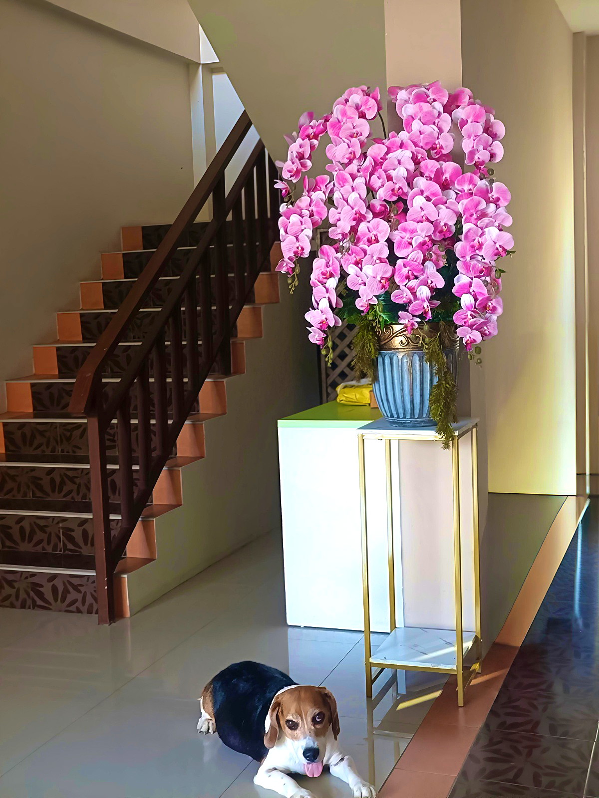 Pictures of Safe House  Apartment 66/66