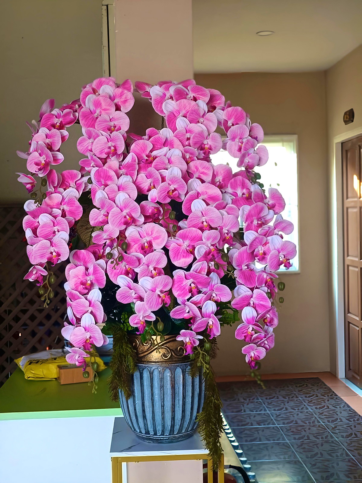 Pictures of Safe House  Apartment 65/66