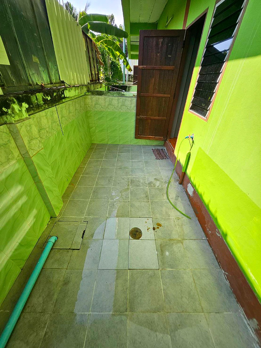 Pictures of Green house1 9/59