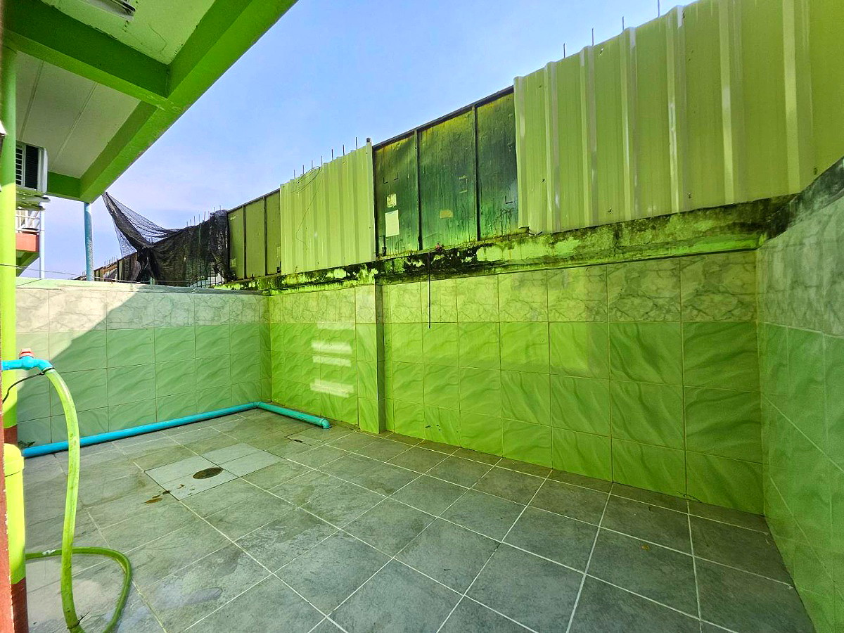 Pictures of Green house1 7/59